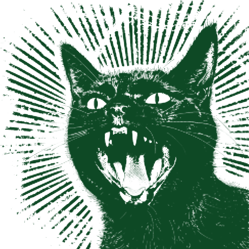 Green cat hissing illustration 800